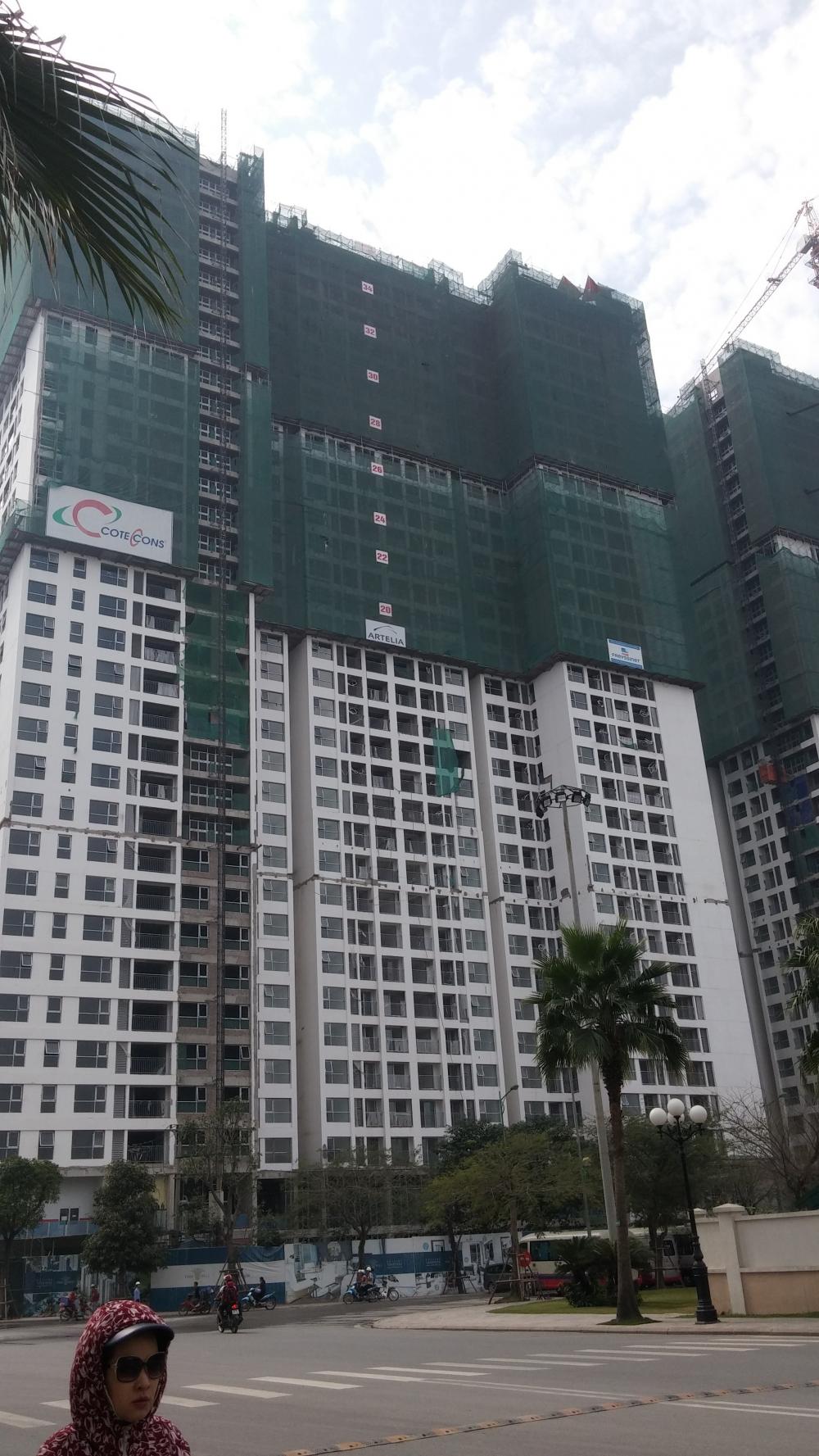 Tòa Park 9 đang tiếp tục thi công đến mặt sàn tầng 36