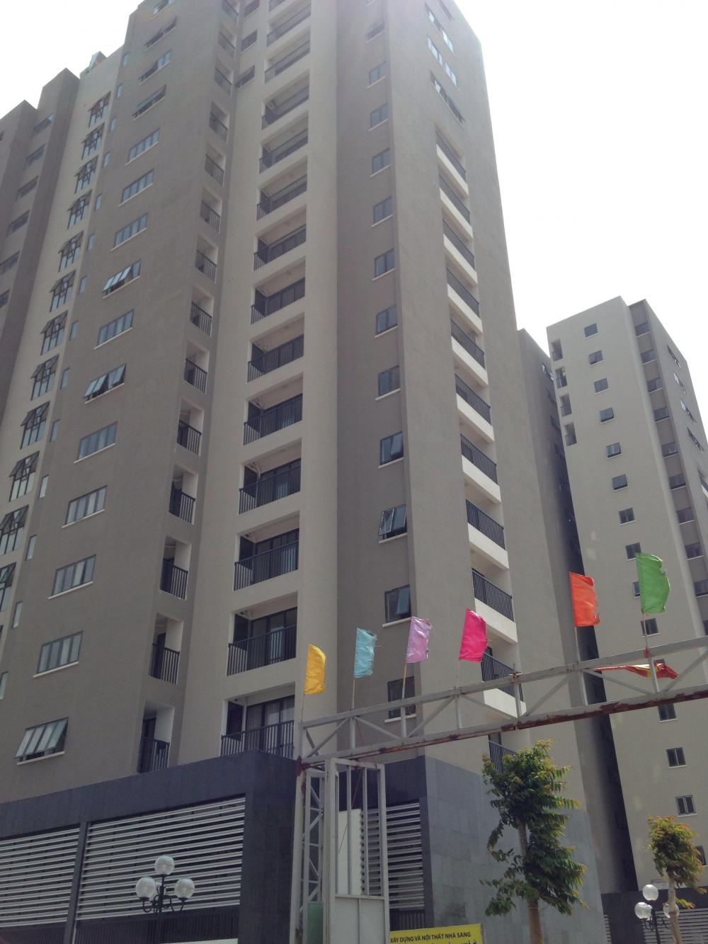 Dự án đã hoàn thiện