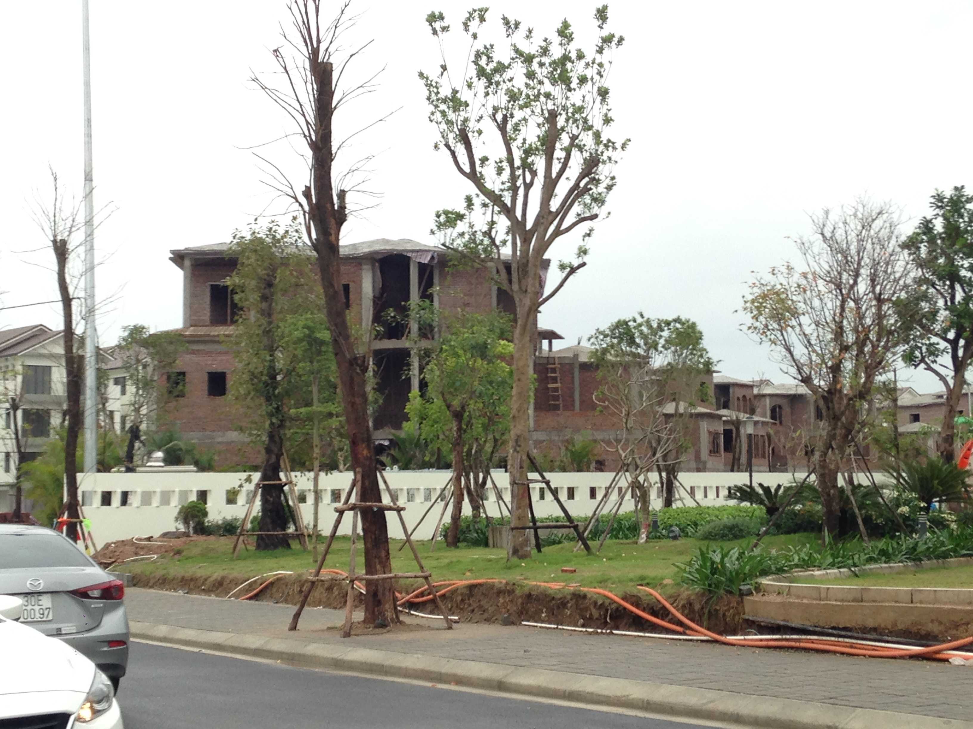 Dự án đang hoàn thiện hạ tầng